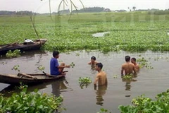 Người dân trong vùng đang tìm thi thể các em. (Nguồn: Vnexpress)