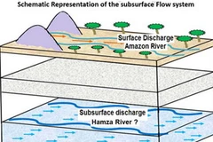 (Nguồn: news.mongabay.com)