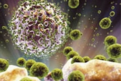 Virus HIV. (Ảnh minh họa. Nguồn: Internet)