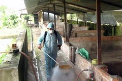 Phun khử trùng khu vực chăn nuôi lợn bị dịch. (Ảnh: Vũ Tiến Lực/TTXVN)