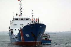 Ảnh minh họa. (Nguyễn Đăng Lâm/TTXVN)