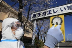 Kiểm tra nồng độ phóng xạ tại thị trấn Futaba, tỉnh Fukushima, cách nhà máy điện hạt nhân Fukushima 10km. (Ảnh minh họa. AFP/TTXVN)