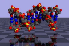 DNA. (Ảnh minh họa. Nguồn: Internet)