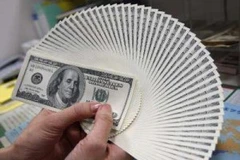 Ảnh minh họa. (Nguồn: Internet)