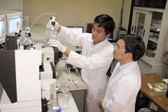 Ảnh minh họa. (Nguồn: huongnghiepviet.com)