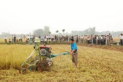 Ảnh minh họa. (Nguồn: dalat.gov.vn)