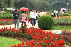 Giới thiệu các loại hoa ở thành phố Đà Lạt. (Ảnh: Bùi Tường/TTXVN)