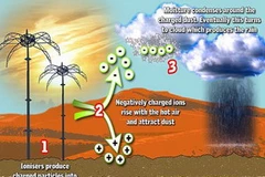 (Nguồn: dailymail.co.uk)