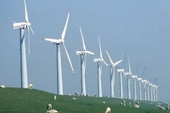 Ảnh minh họa. (Nguồn: Internet)