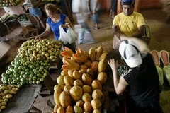 Kinh doanh hoa quả tại chợ ở Havana. (Nguồn: Internet)