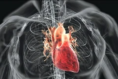 Ảnh minh họa. (Nguồn: Internet)