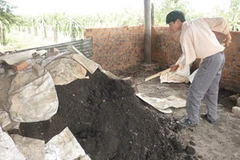 Ảnh minh họa. (Nguồn: Internet)