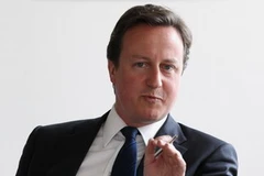 Thủ tướng David Cameron. (Nguồn: Getty images)