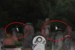 Vòng tròn đỏ đánh dấu vị trí "hai con ma" Blanche Moon và David Shaw. (Nguồn: Renee English)