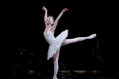 (Nguồn: roh.org.uk)