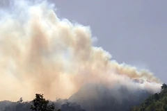 Ảnh minh họa. (Nguồn: Lục Văn Toán/TTXVN)