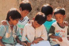 Ảnh minh họa. (Nguồn: ddbh.avi.org.vn)