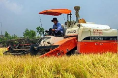 Thu hoạch lúa Đông Xuân 2011-2012 tại Hậu Giang. (Ảnh: Duy Khương/TTXVN)