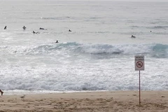 Bãi biển ở Sydney, Australia cắm biển "Đóng cửa" do dự báo sóng thần. (Ảnh minh họa. Nguồn: Reuters)