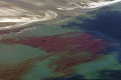 Dầu loang trên vịnh Mexico. (Nguồn: Getty Images)