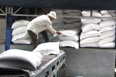 Việt Nam có thể vượt Thái Lan trở thành nước xuất khẩu gạo hàng đầu thế giới trước năm 2015 (Ảnh: Đình Huệ/TTXVN)