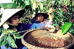 Ảnh minh họa. (Nguồn: Internet)