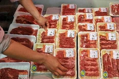 Ảnh minh họa. (Nguồn: AFP/TTXVN)