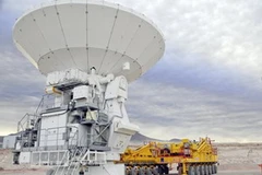 Ảnh minh họa. (Nguồn: Internet)