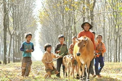 Ảnh minh họa. (Nguồn: divietnam.org)