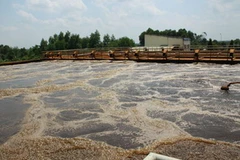 Nước thải của Công ty Sonadezi Long Thành. (Nguồn: vietpress.vn)