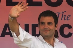 Tổng thư ký đảng Quốc đại Rahul Gandhi. (Nguồn: Getty images)