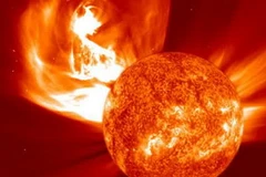 Ảnh minh họa. (Nguồn: Internet)