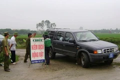 Ảnh minh họa. (Trần Tiến Duẩn/TTXVN)