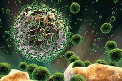 Các virus HIV (màu xanh lục) tấn công một tế bào trong cơ thể người. (Nguồn: Internet) 