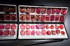 Làm palette son môi nhiều màu. (Nguồn: Tạp chí Đẹp)