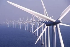 Ảnh chỉ có tính chất minh họa. (Nguồn: Internet)