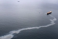 Vết dầu loang từ tàu Rena tại Tauranga, New Zealand. (Nguồn: Getty)