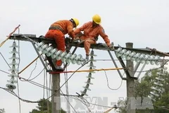 (Ảnh: Ngọc Hà/TTXVN)