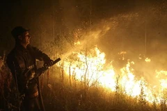 Nhân viên cứu hỏa phun nước dập đám cháy rừng ở làng Murmino, Nga. (Nguồn: AFP/TTXVN)