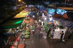 (Ảnh: Minh Sơn/Vietnam+)