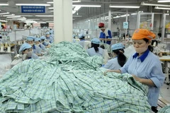 (Ảnh minh họa: Trần Thanh Giang/TTXVN).