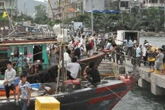 Tàu thuyền về tránh trú bão. (Nguồn: TTXVN)