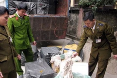 Ảnh minh họa. (Nguồn: Lục Văn Toán/TTXVN).