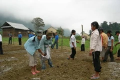 Đồng bào Rục vẫn phải sử dụng giống vụ trước để gieo trồng. (Ảnh: Trịnh Duy Hưng/Vietnam+).