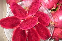 (Nguồn: traicaymiennam.vn)