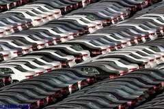 (Nguồn: bulbish.com)