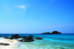 Ảnh minh họa. (Nguồn: Internet).