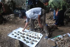 Những di vật đá thu được tại hang Thẩm Choóng. (Ảnh: Vũ Quang Đán/Vietnam+)