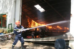 (Ảnh minh họa: Dương Chí Tưởng/TTXVN)