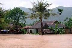 (Ảnh minh họa: Nguyễn Đức Thọ/TTXVN)